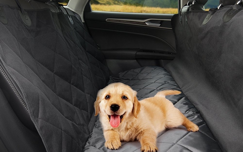 Cymas Dog Car Seat Cover, $19 with code 638N85KE. Puppy not included.